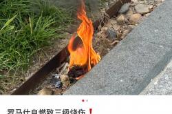 爱游戏体育网址-罗马仕充电宝被投诉“起火烧伤大腿”！监管部门称公司正处理